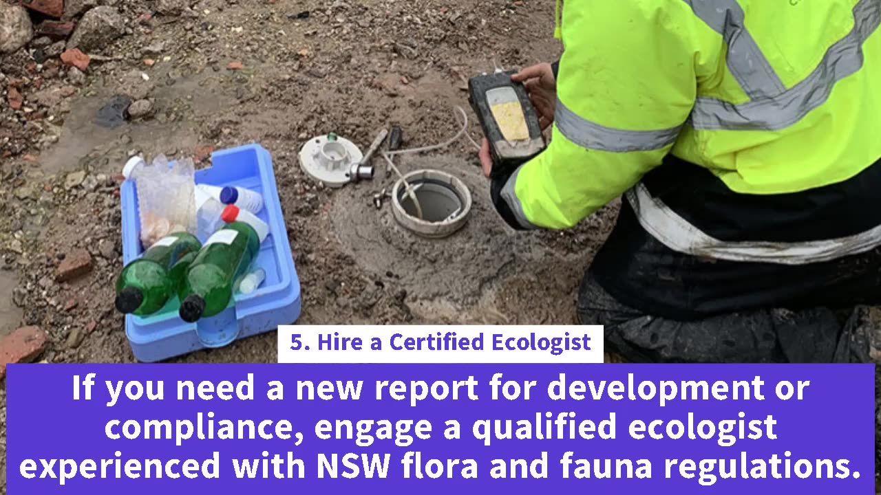 How to Find Flora and Fauna Report in Sydney – Pointwise Guide