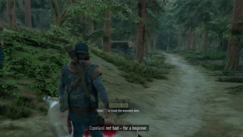 Days Gone - 13