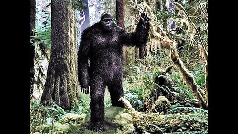 Mountain Apes and Maud OK Big foot