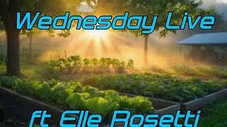 Wednesday Live ft Elle Rosetti