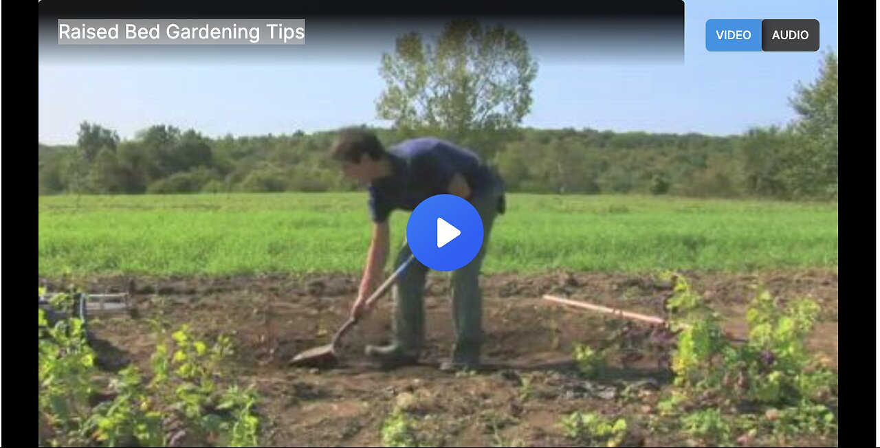 Raised Bed Gardening Tips