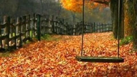 Autumn Coming On