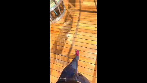 The View to Burj Khalifa Tower 163 #dubai_dxb_uae #burjkhalifadubai #burjkhalifaview🇦🇪