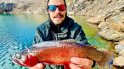 Catching Magical Alpine Cutthroat Trout During Fall in Colorado
