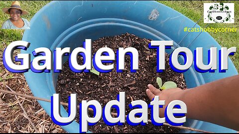 Garden Update Tour - #catshobbycorner #gardening #gardentour