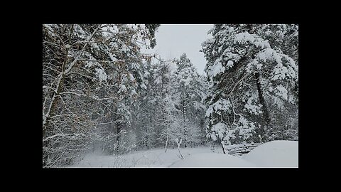 СКУЧАЕТЕ ПО РОССИИ ...