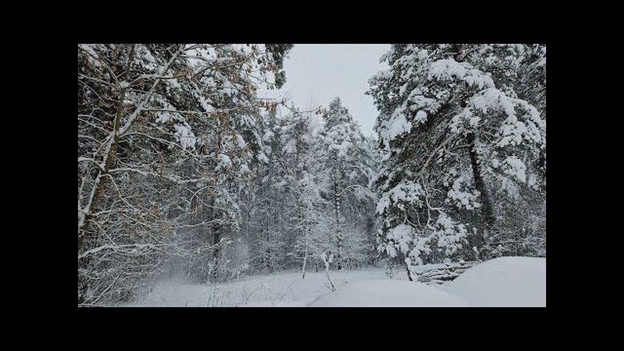 СКУЧАЕТЕ ПО РОССИИ ...