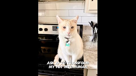 Jerry As A Human 🤣🐈🙋🏼‍♂️