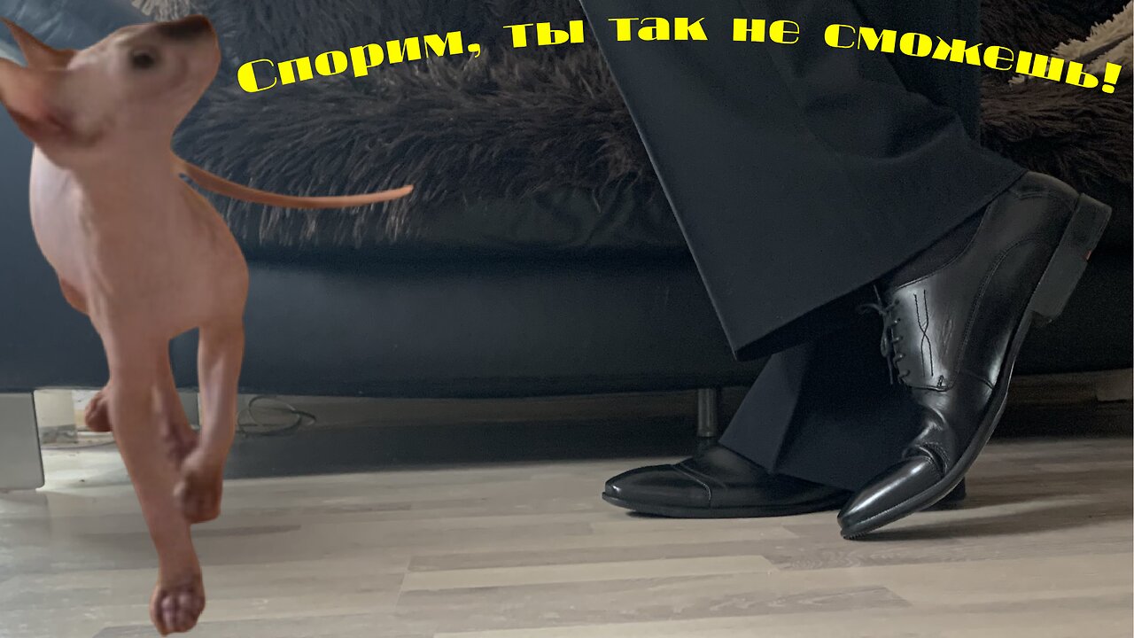 А ты так сможешь?