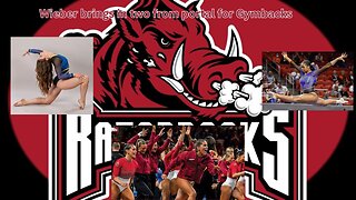 The Arkansas Gymbacks pull in 2 great gymnasts from the transfer portal