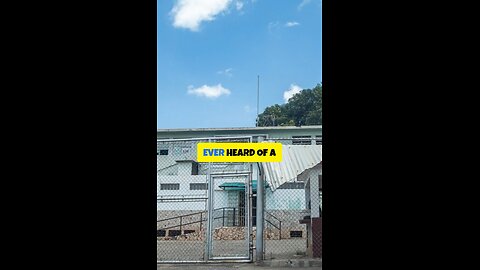 Inside La Sabaneta: Venezuela's Violent Prison
