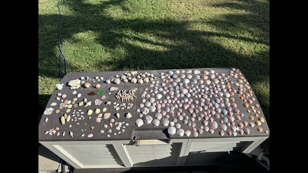 Beach Finds 4/6/2025 | 4K