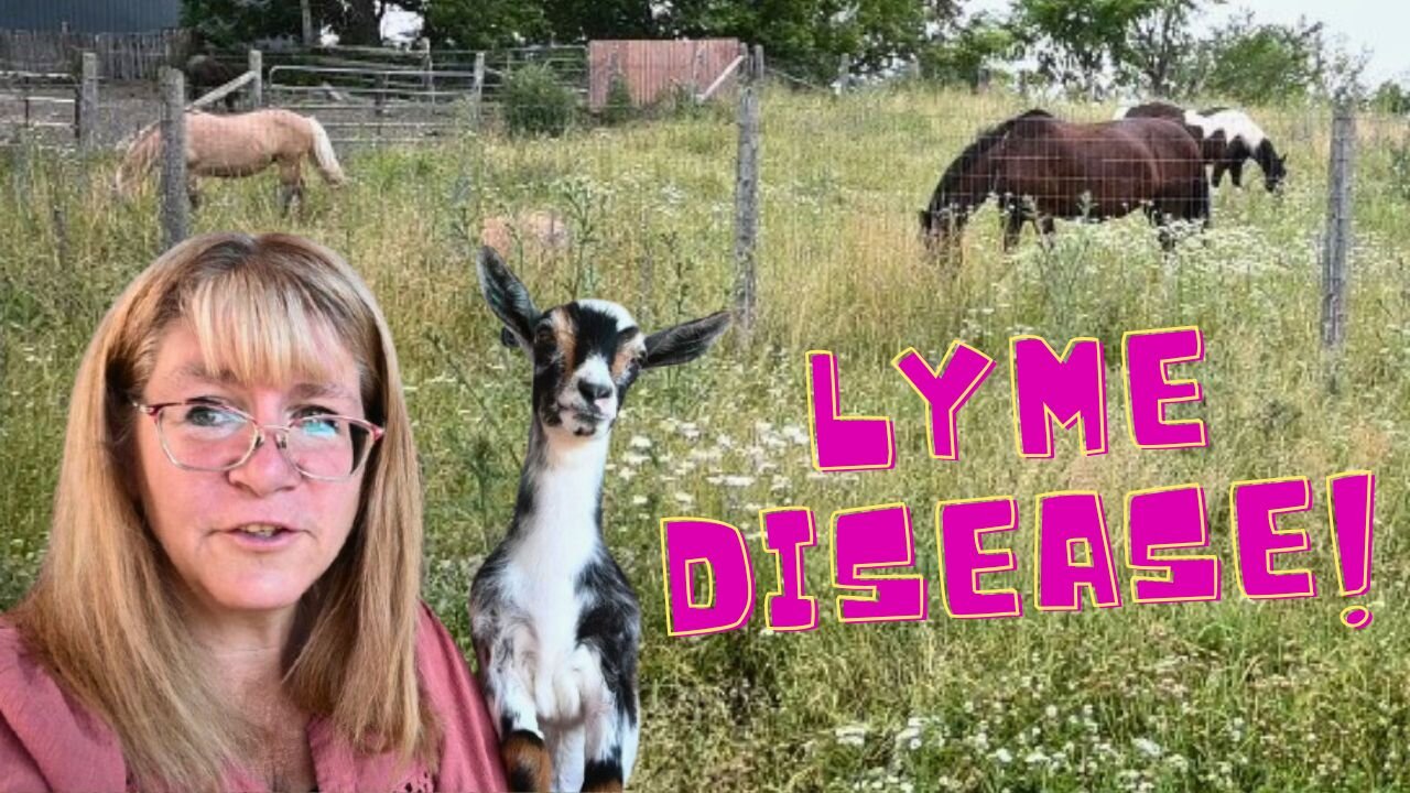 How LYME Disease Took Our HORSE!