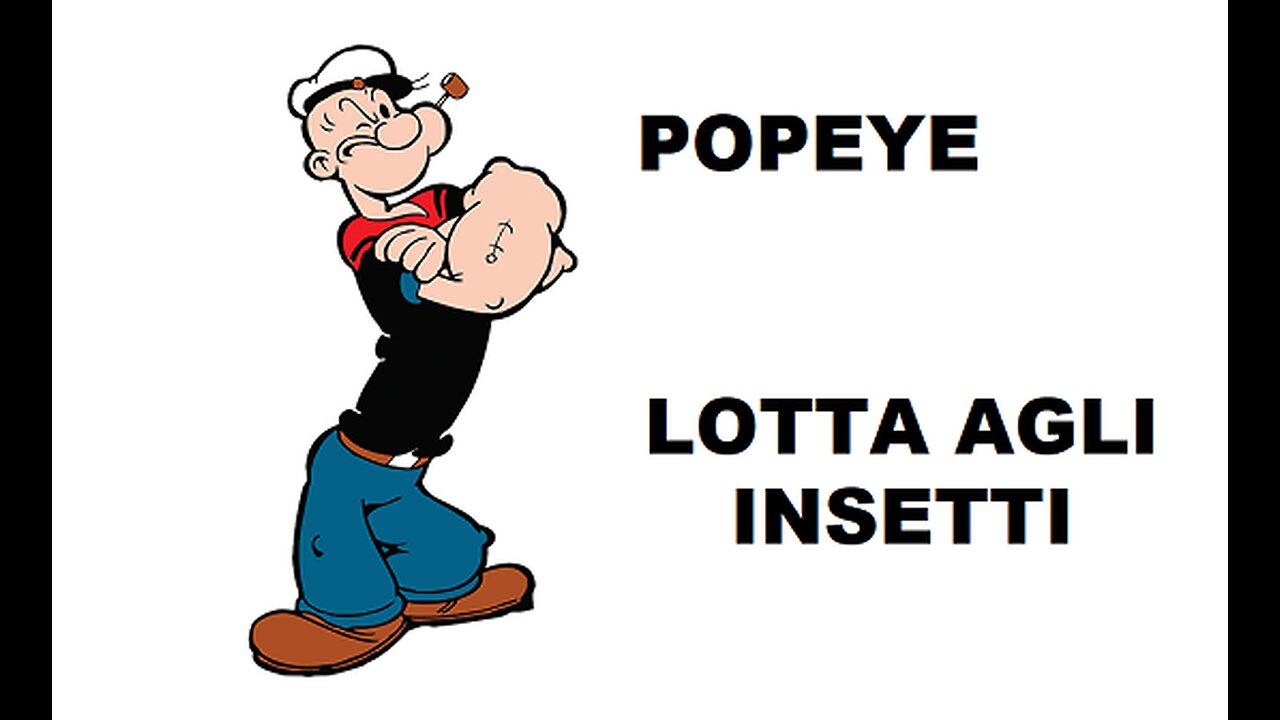 POPEYE---LOTTA AGLI INSETTI
