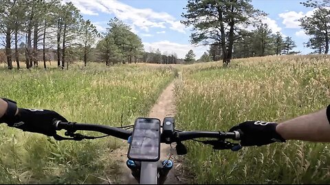 Meadow - Mount Herman - Monument - Colorado