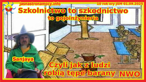 Szkolnictwo to szkodnictwo 🐑 To gojoinżynieria! 📚 Z ARCHIWUM JSM