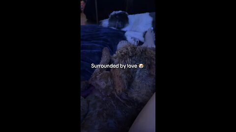 Surrounded by Love