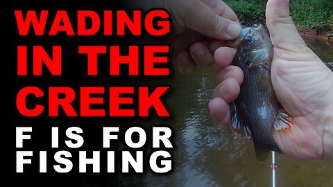 Wading in the Creek