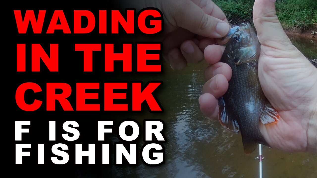 Wading in the Creek