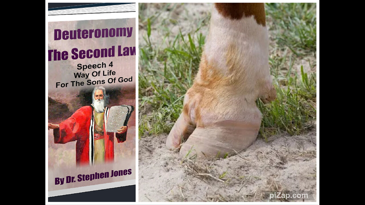 Deut. 2ª Ley-DISCURSO 4-Cap. 2: COMIDA ESPIRITUAL LIMPIA 1 (Pezuña Hendida y Rumiar), Stephen Jones