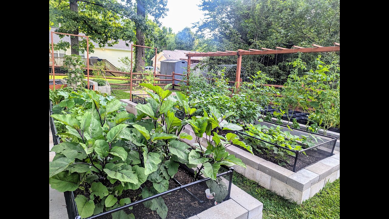 Summer is coming, Everything is growing (2025)