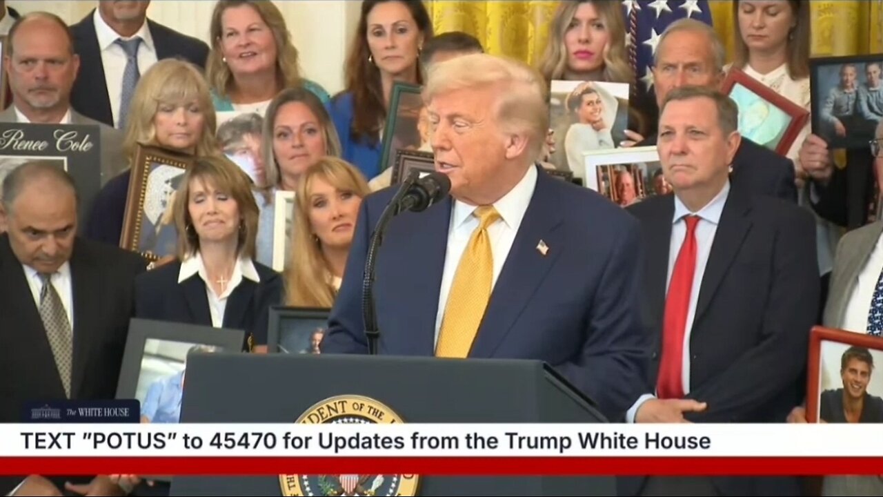 Trump: Democrats Only Have Lies