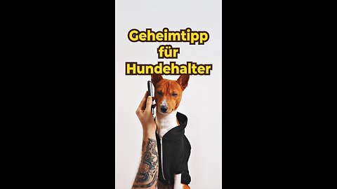 😱 Bloß nicht diesen Napf, sonst …!