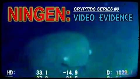 NINGEN: video evidence