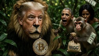 EP225 | New York Collapse, Trump is Racist Again Apparently, CIA Created Bitcoin? Really?