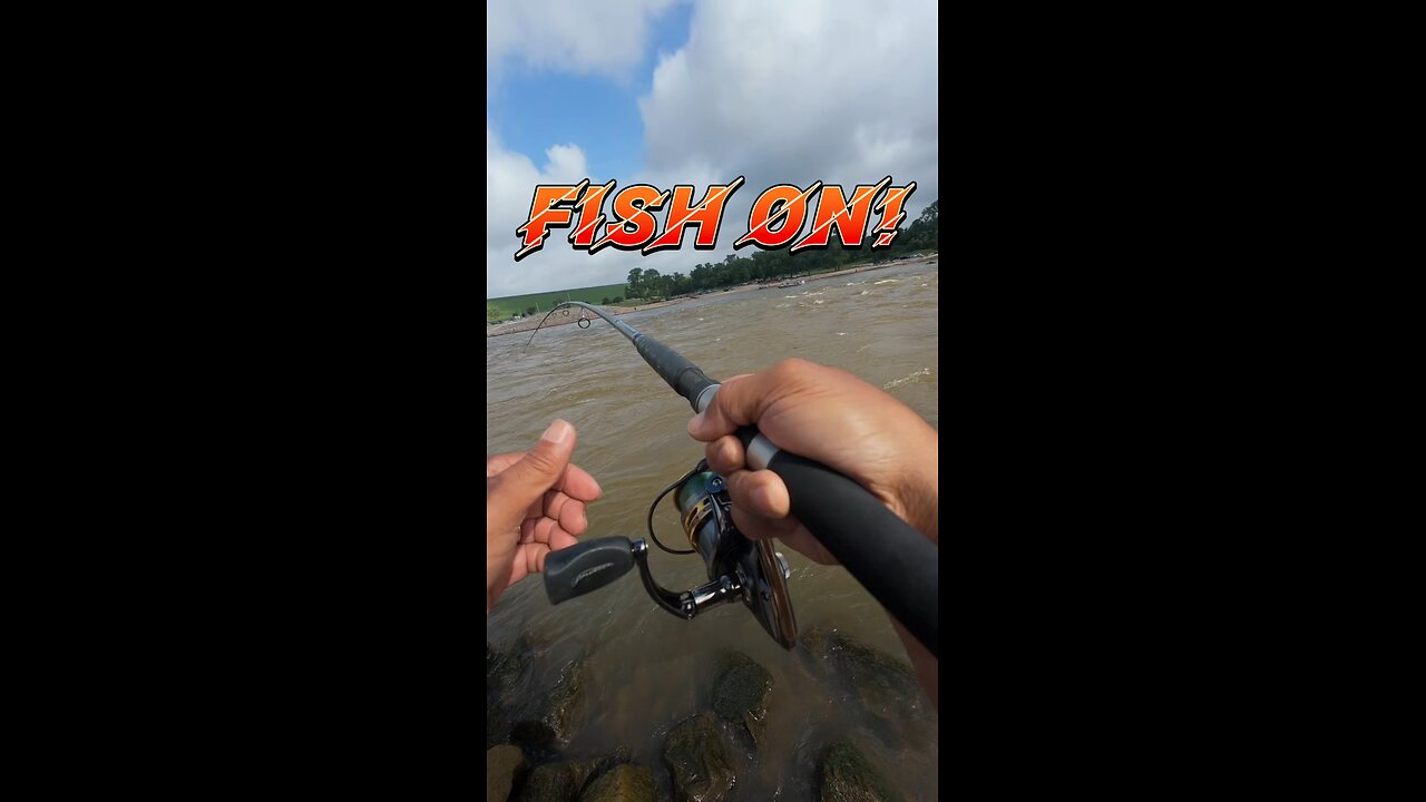 Lost a Big Fish today 😪 #denisondam #fishing #gar