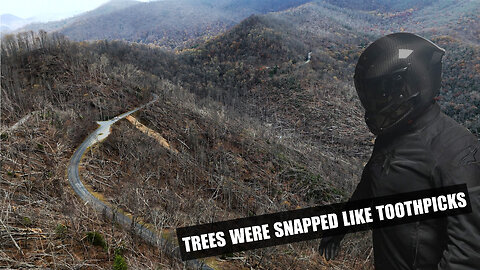 I Witnessed the WORST Storm Damage at the Blue Ridge Parkway!