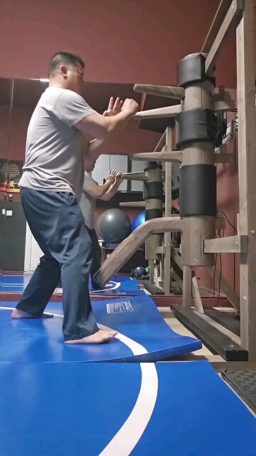 WTD Wooden Dummy Combination 1