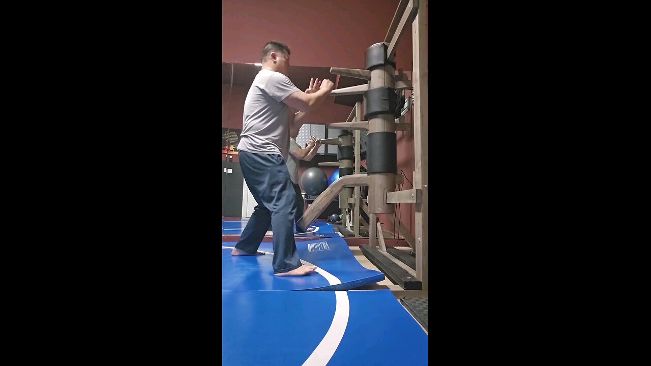 WTD Wooden Dummy Combination 1