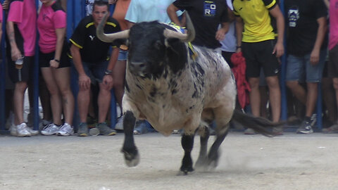 2025 08 10 AMPOSTA VICTORINO MARTÍN Nº14 Y TORRESTRELLA Nº55