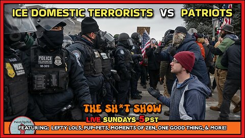 ICE Domestic Terrorists v Patriots