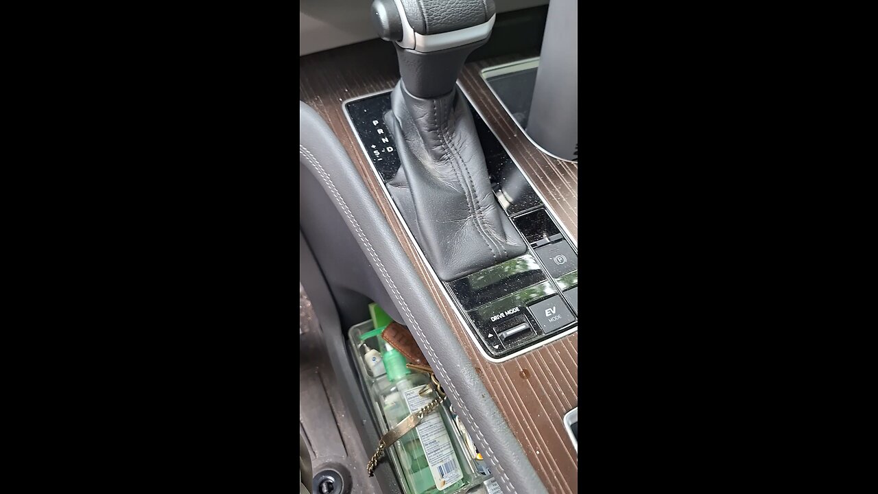 Leaving Godmother's house