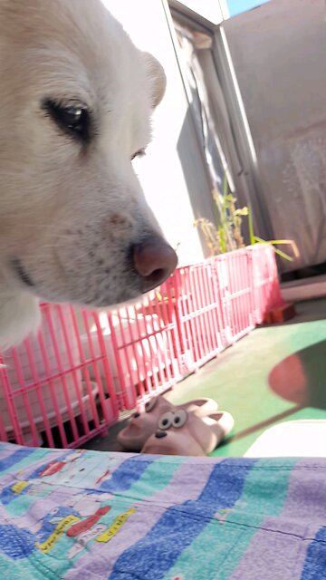 20251110. God Is Love.