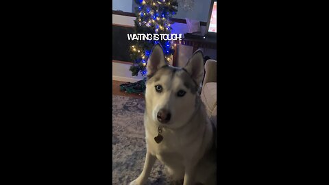 How Much Longer Til Christmas?