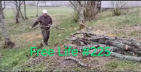 Free Life #225