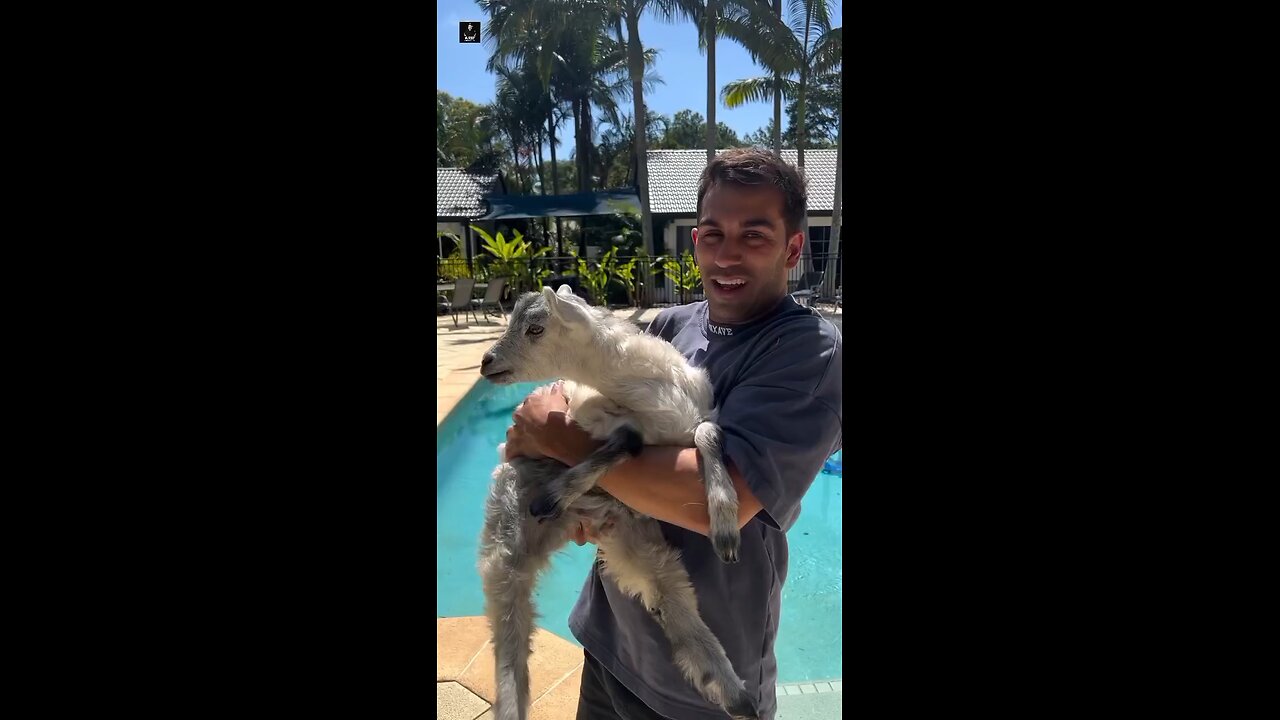 😂 This Hilarious Moment Will Leave You in Tears of Laughter! 🤣🔥