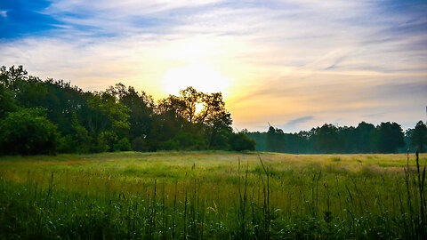 2 minutes of tranquility: Sunrise Over a Peaceful Meadow for Relaxation & Meditation