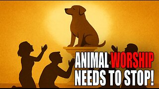 Animal worship needs to stop.