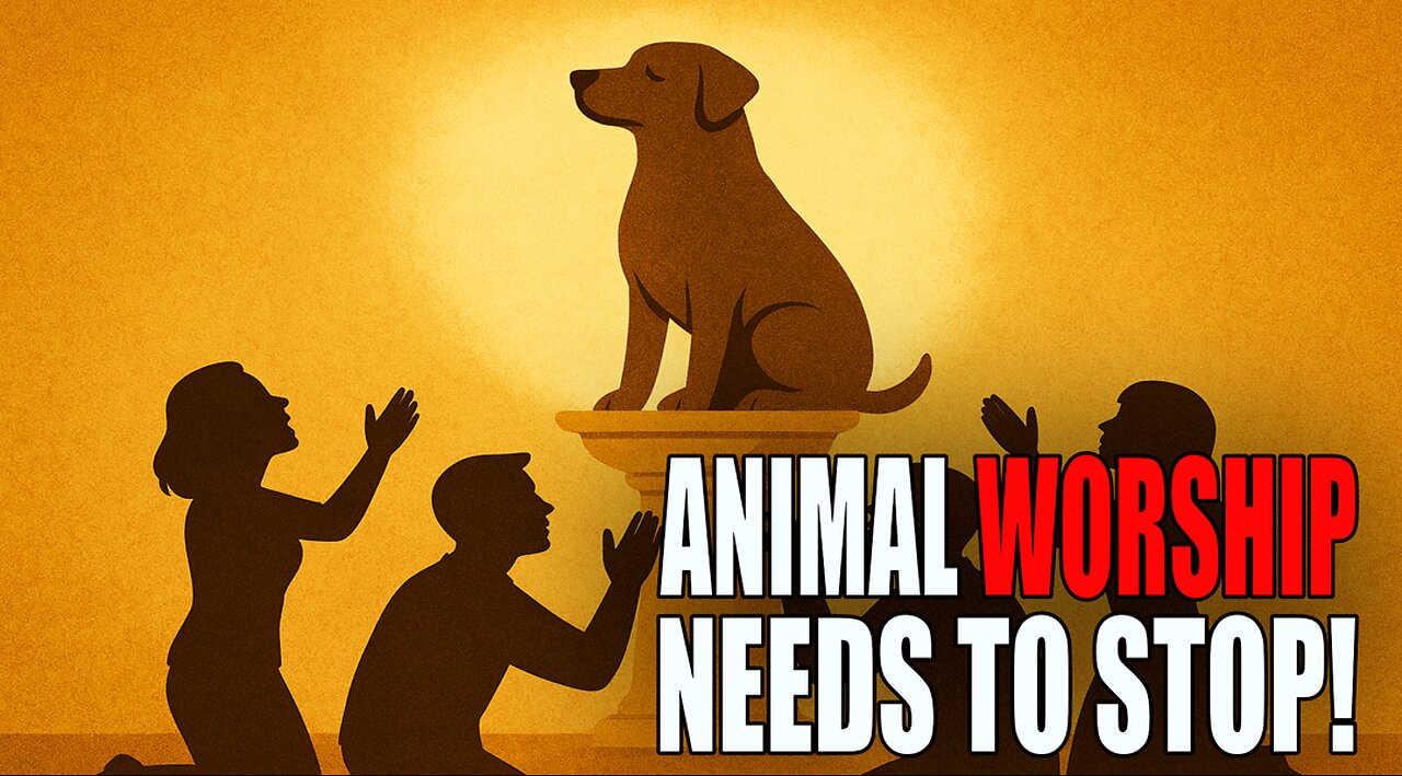 Animal worship needs to stop.