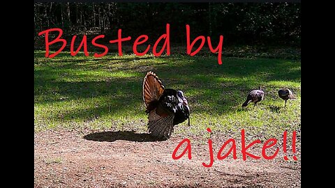Part 2...Jillian's Hunt Got Busted By A Jake