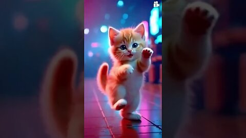 Cute cat funny dance 😍😅