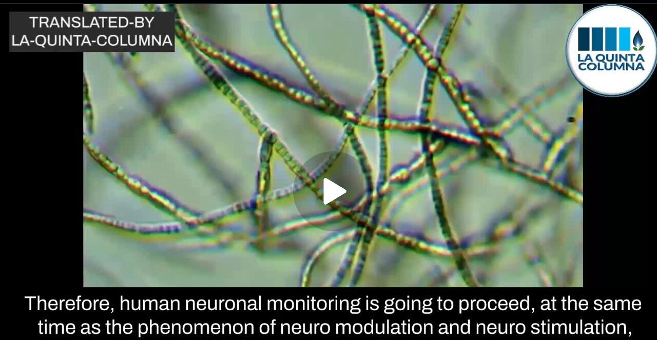 "Pfizer Vaccine Incorporates Self-Assembled Graphene-Based Carbon Nanotubes"