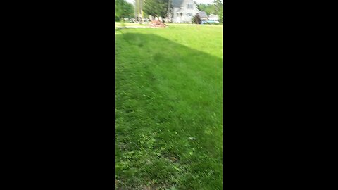 🐝Bee Update 🇺🇸