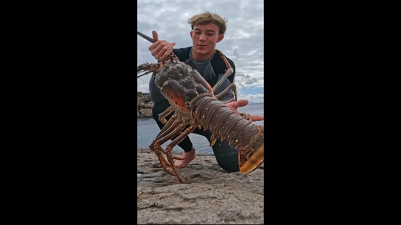 Catching Big Giant LOBSTER, Is It Worth It