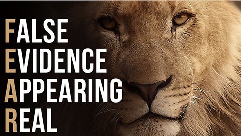 Breaking the unnecessary cycle of Fear