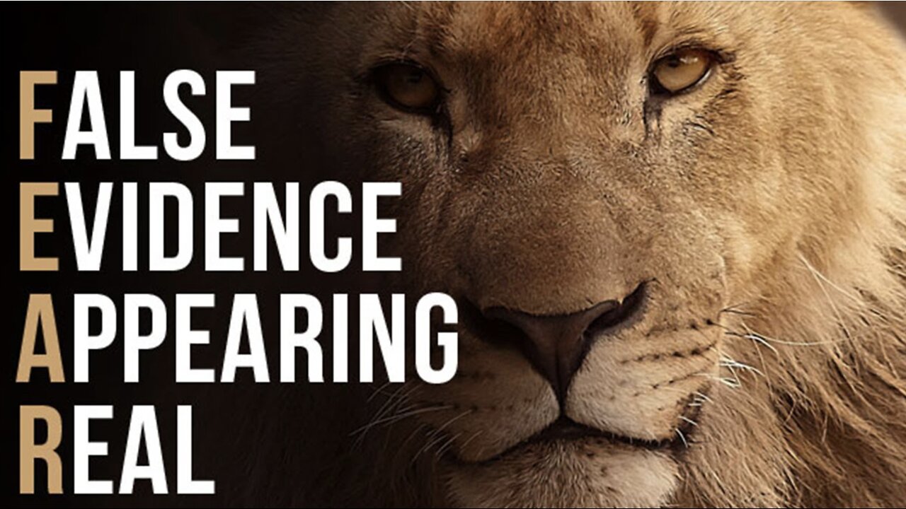 Breaking the unnecessary cycle of Fear